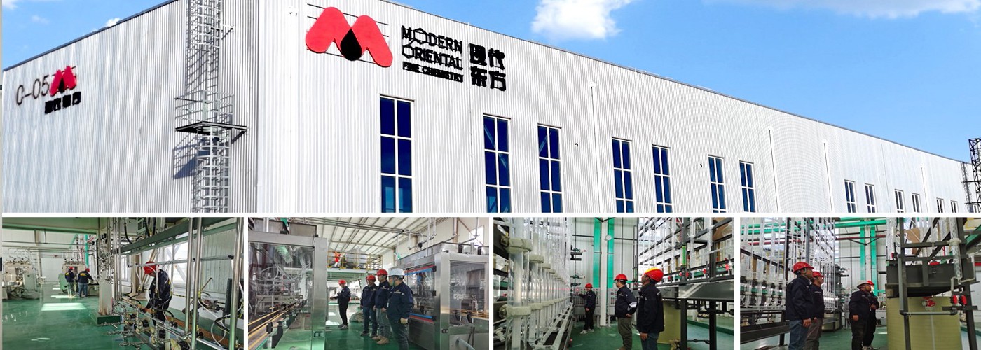 20250226311238.jpg 新聞01.JPG